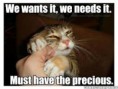 /album/lol-cats/download-1-jpg/